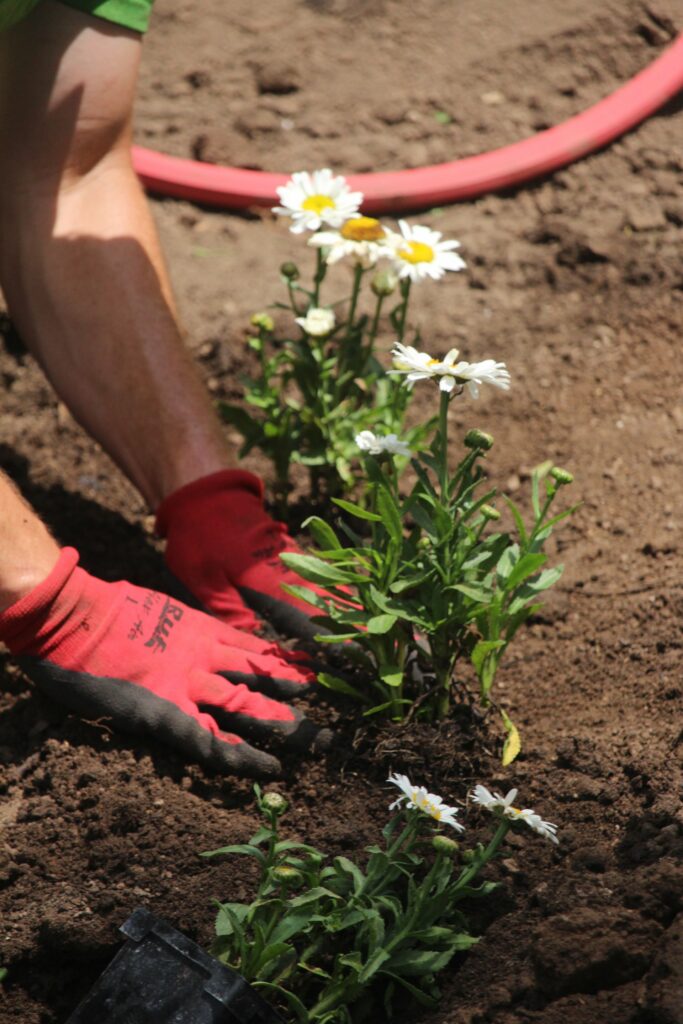 Trees, Gardens & Plantings